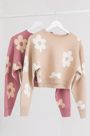 Daisy Days Crop Sweater